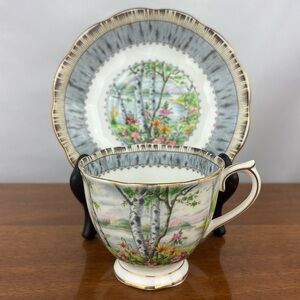Vintage Royal Albert bone china “Silver Birch” tea cup and saucer